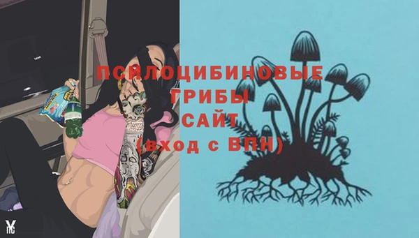 прущие грибы Абдулино