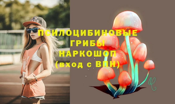 круглые Абаза
