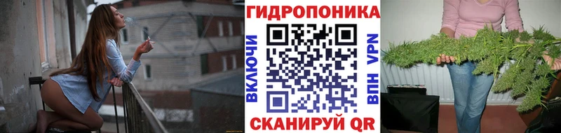 Каннабис семена  мега как зайти  Удомля 